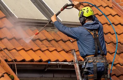 Démoussage et hydrofuge de toiture à Ambloy